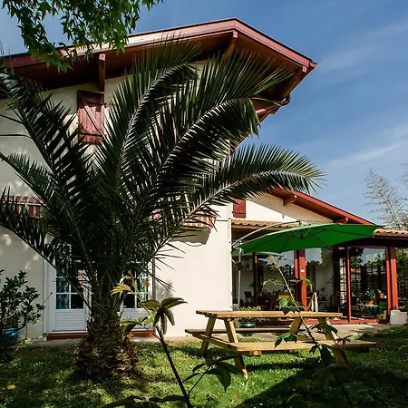 Nami House Ostello *